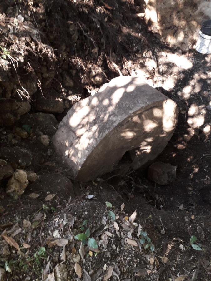 Kamp Seosko Domacinstvo Radman Hotell Herceg Novi Eksteriør bilde