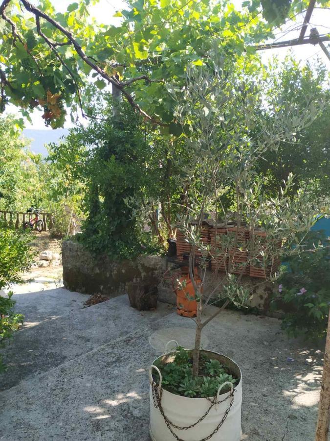 Kamp Seosko Domacinstvo Radman Hotell Herceg Novi Eksteriør bilde