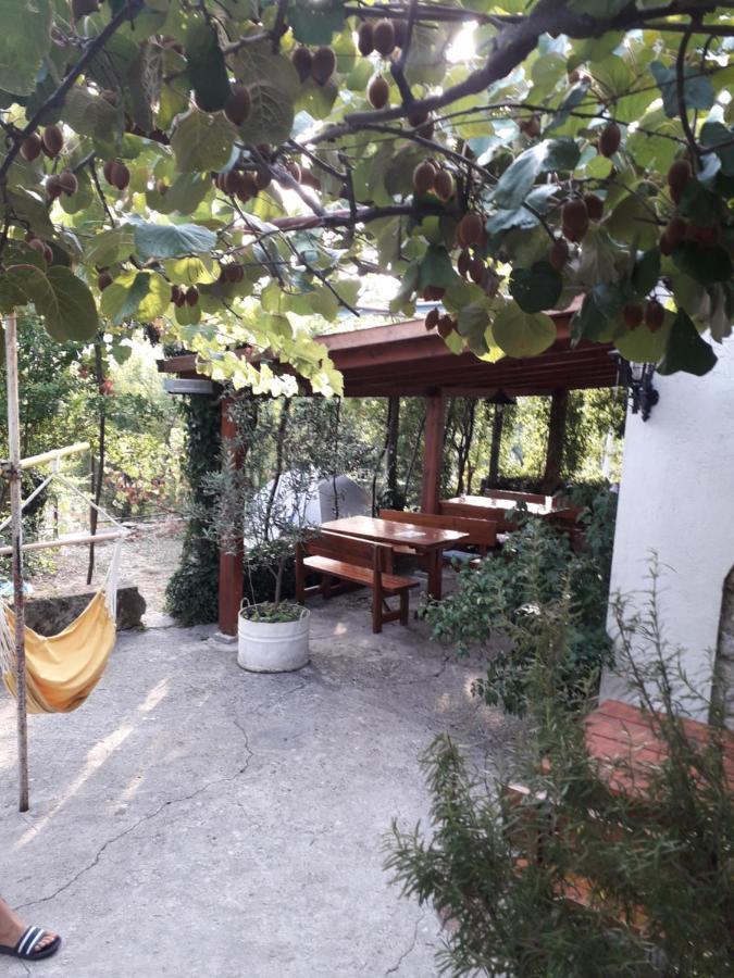 Kamp Seosko Domacinstvo Radman Hotell Herceg Novi Eksteriør bilde