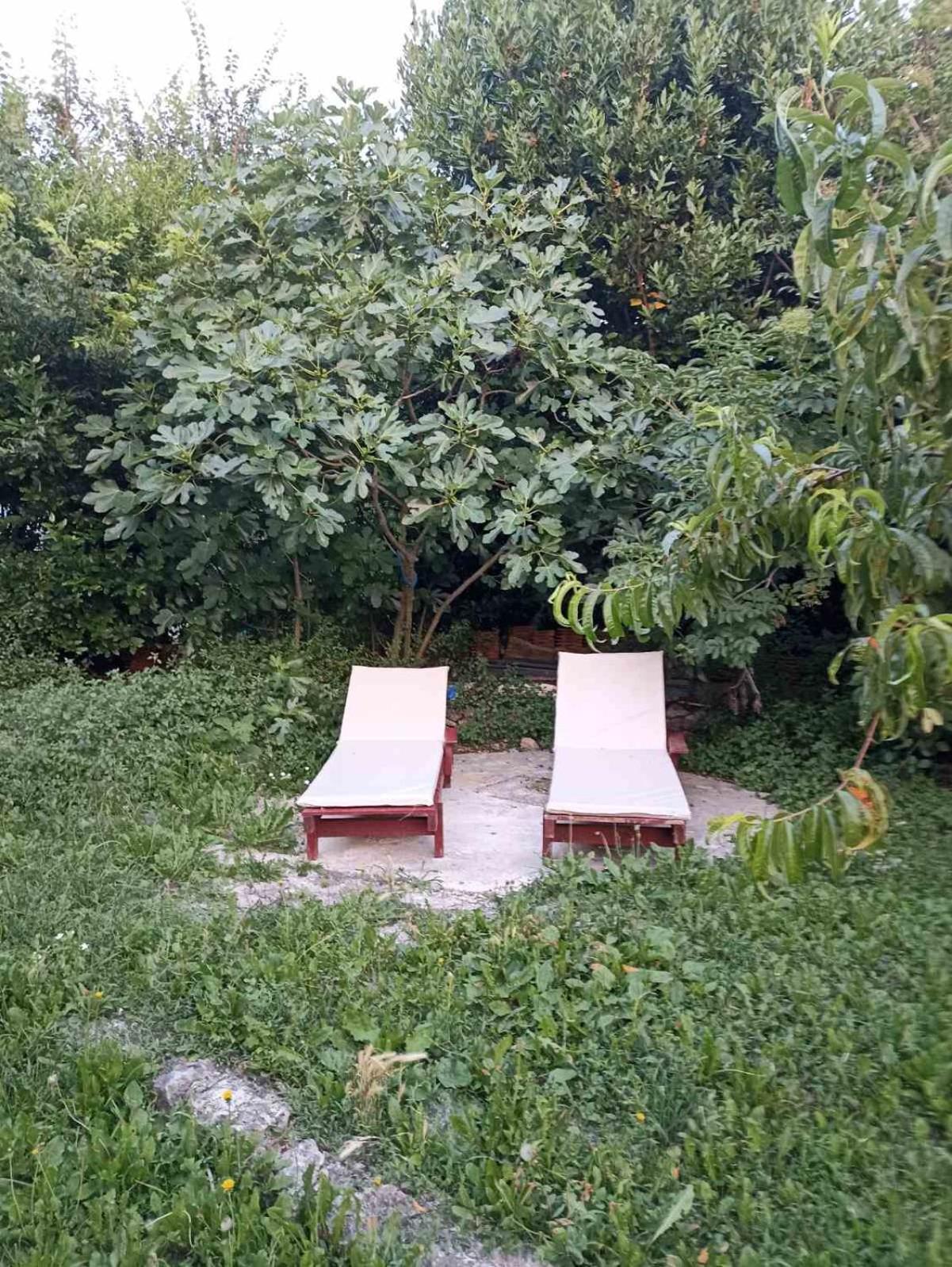 Kamp Seosko Domacinstvo Radman Hotell Herceg Novi Eksteriør bilde